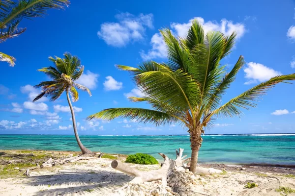 Caribbean - 15 Days - Unlimited